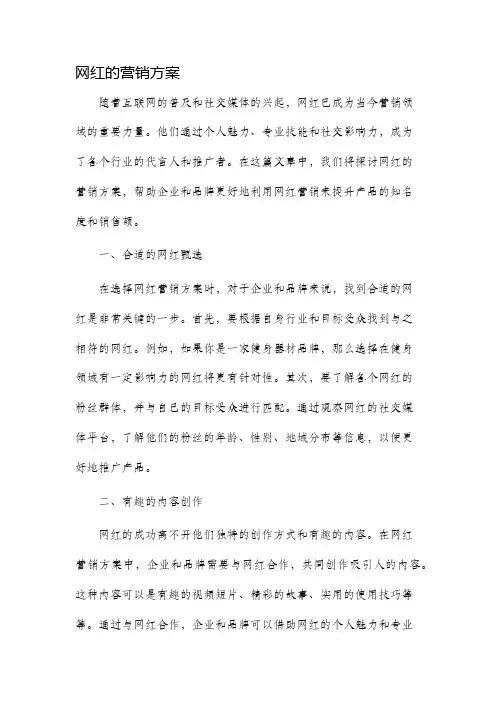 网红的营销方案
