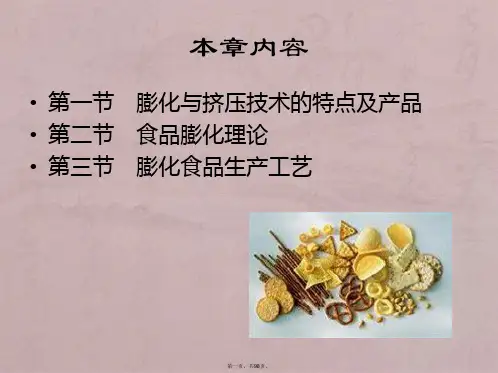 膨化与挤压食品生产工艺