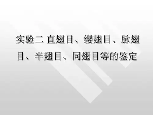 昆虫分类实验二