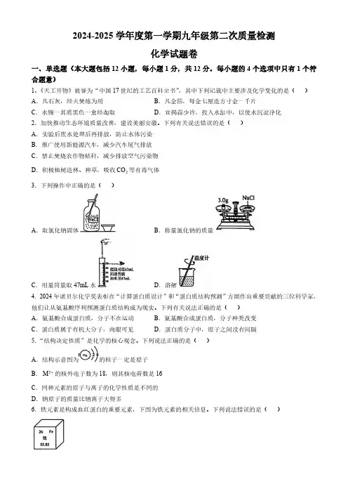安徽省亳州市蒙城县2024-2025学年九年级上学期11月月考化学试题(无答案)