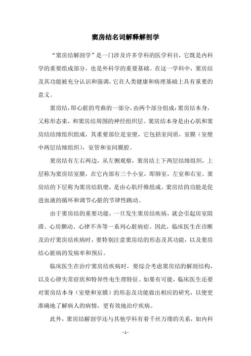 窦房结名词解释解剖学