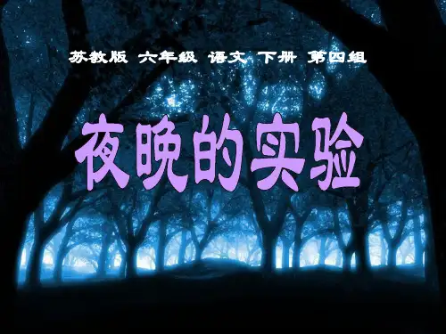 《夜晚的实验》教材课件ppt