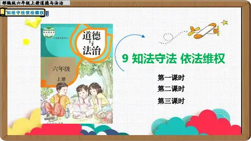 《知法守法依法维权》ppt课件(完美版)全文