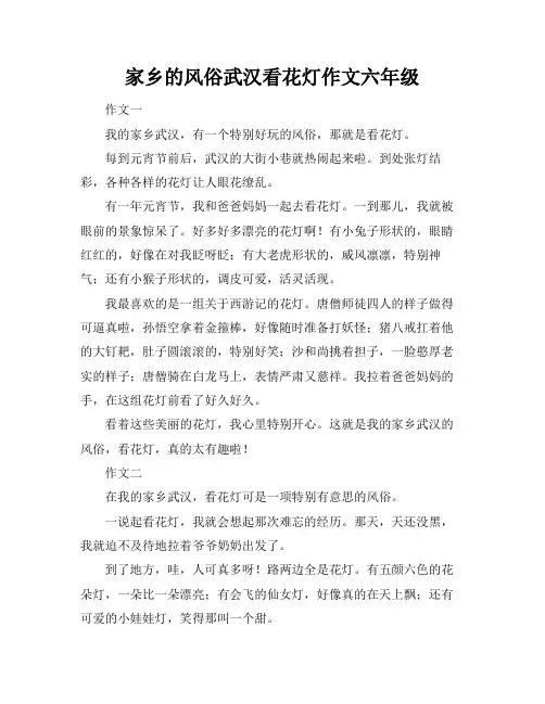 家乡的风俗武汉看花灯作文六年级