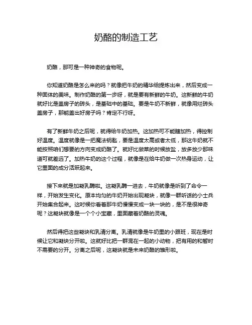 奶酪的制造工艺