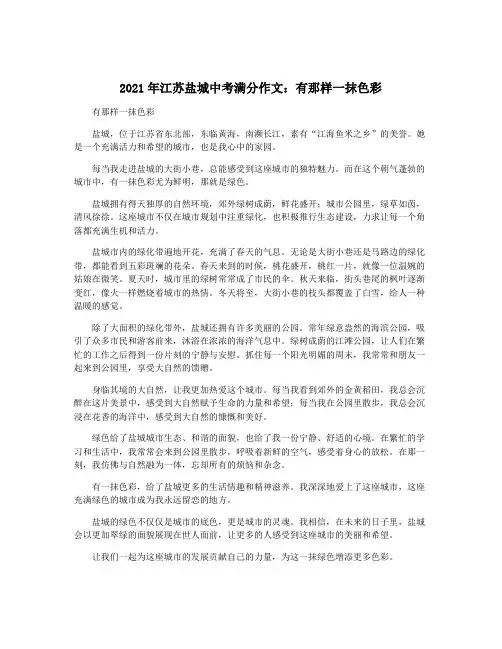 2021年江苏盐城中考满分作文：有那样一抹色彩