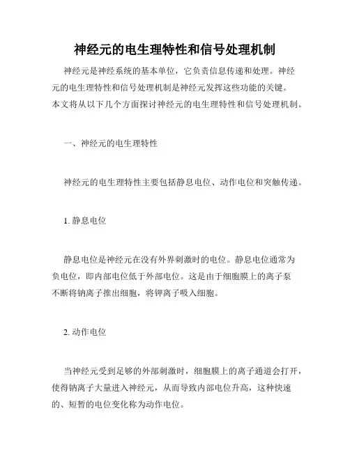 神经元的电生理特性和信号处理机制