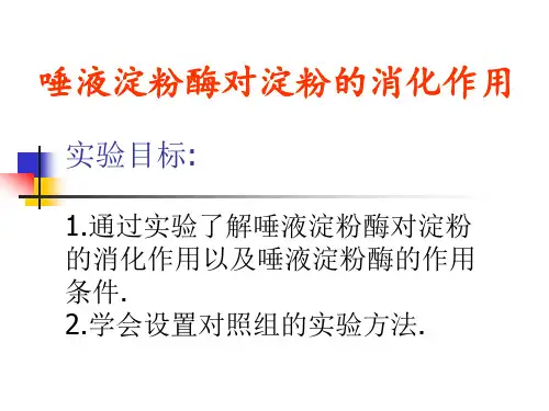 唾液淀粉酶对淀粉的消化作用
