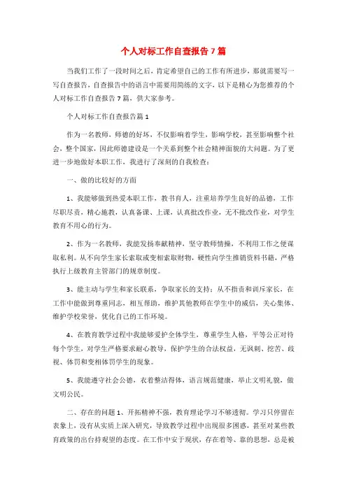 个人对标工作自查报告7篇