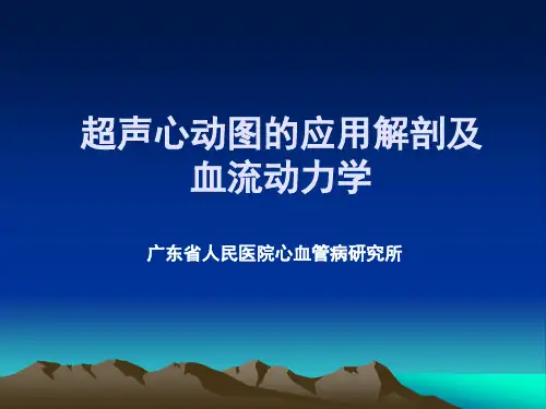 超声心动图的应用解剖PPT课件