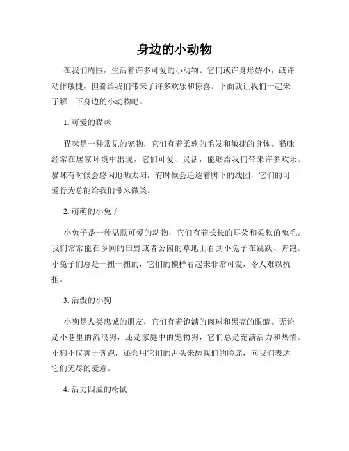 身边的小动物