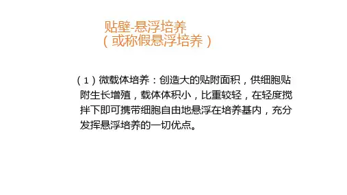 贴壁-悬浮培养