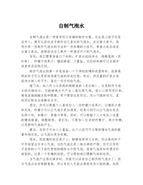 自制气泡水