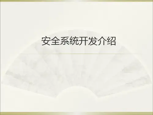 被动安全系统开发