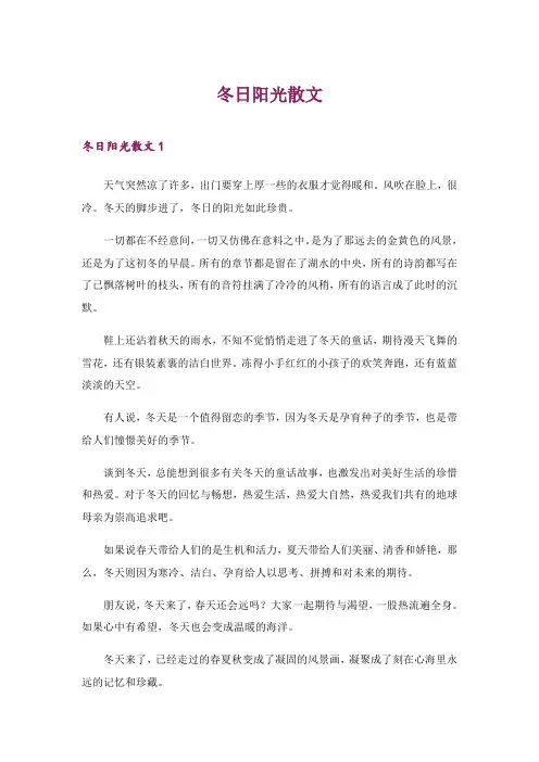 2024年冬日阳光散文