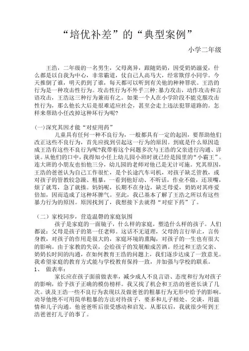 培优补差典型案例--二年级