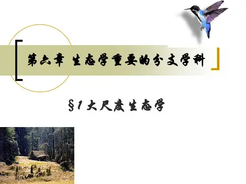 生态学之大尺度生态学