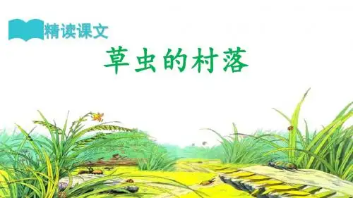 六年级上册语文课件-3 草虫的村落｜人教新课标 (共25张PPT)
