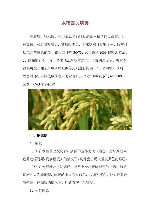 水稻四大病害