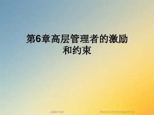 第6章高层管理者的激励和约束