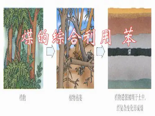 煤的综合利用--苯