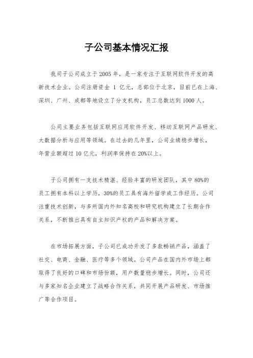 子公司基本情况汇报