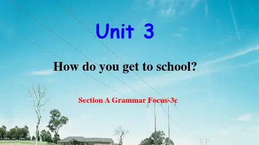 Unit3SectionAGrammarFocus3c课件人教版新目标七年下册英语
