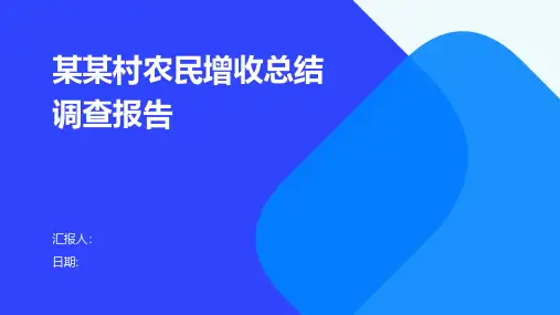 某某村农民增收总结调查报告