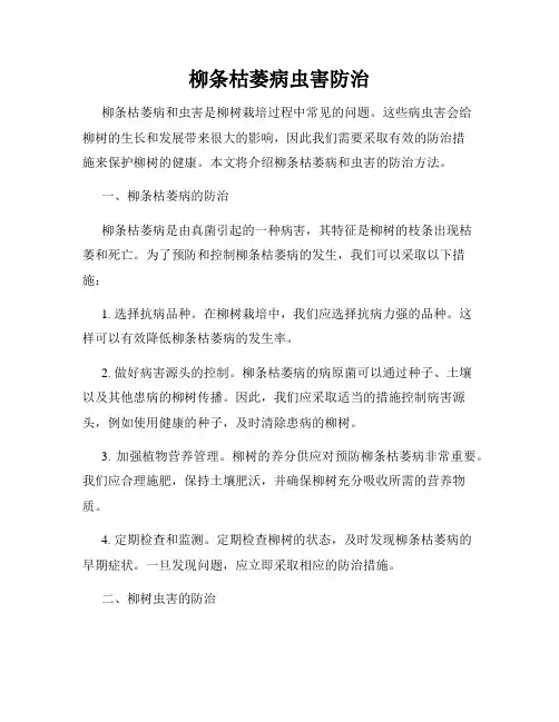 柳条枯萎病虫害防治