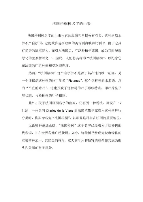 法国梧桐树名字的由来