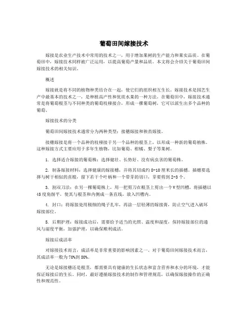 葡萄田间嫁接技术