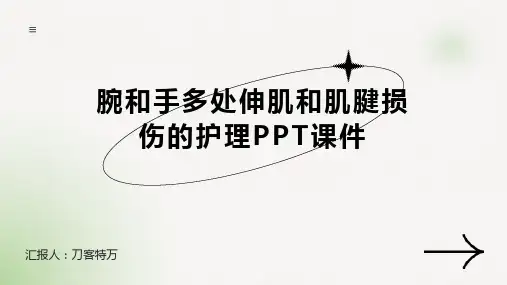 腕和手多处伸肌和肌腱损伤的护理PPT课件
