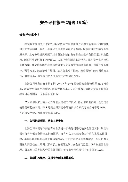 安全评估报告(精选15篇)