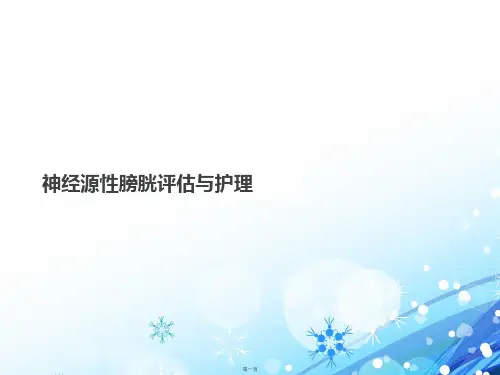 神经源性膀胱评估与护理