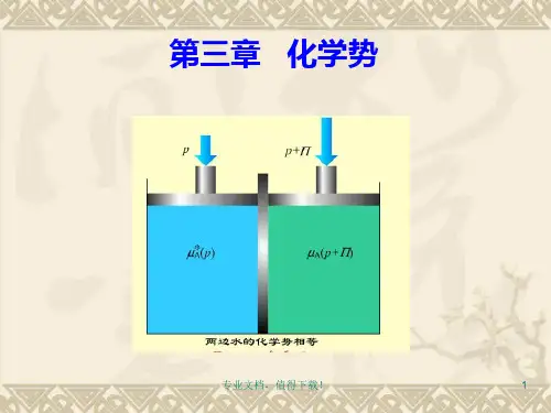 3-化学势