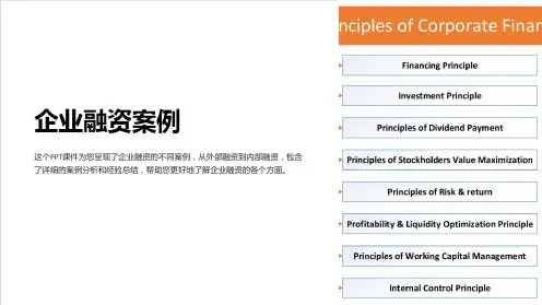 《企业融资案例》课件