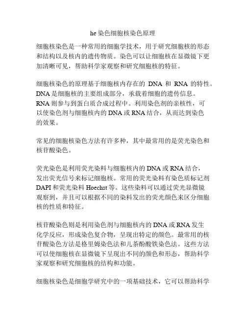 he染色细胞核染色原理
