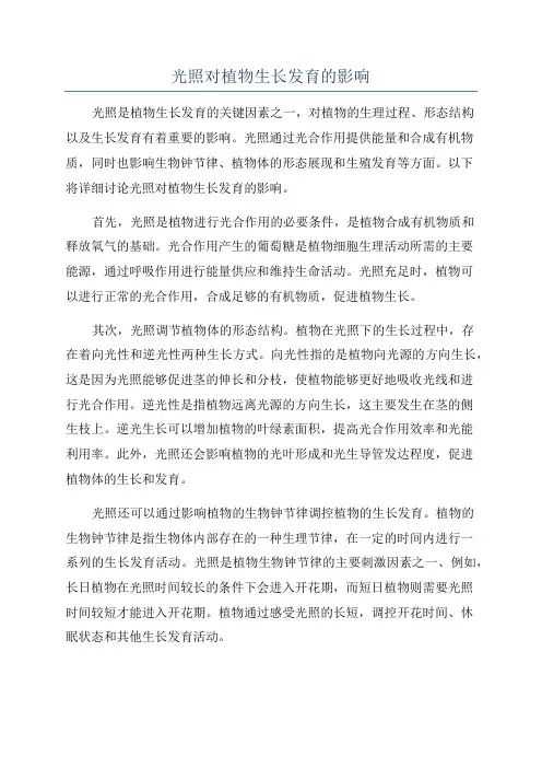 光照对植物生长发育的影响