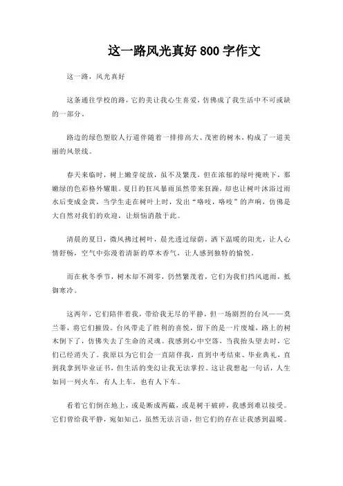 这一路风光真好800字作文