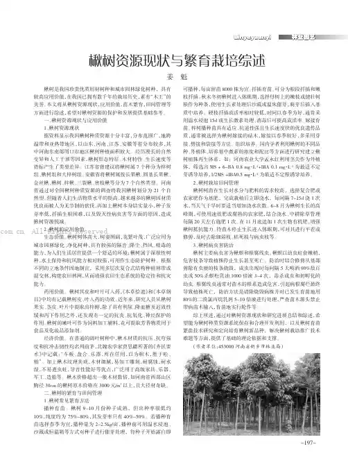 楸树资源现状与繁育栽培综述