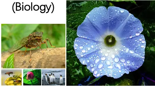 致同学们：欢迎来到神秘的生物世界-2021-2022学年七年级生物上册同步教学精品课件(人教版 )