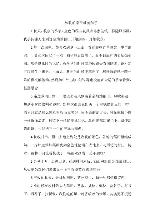 秋收的季节唯美句子