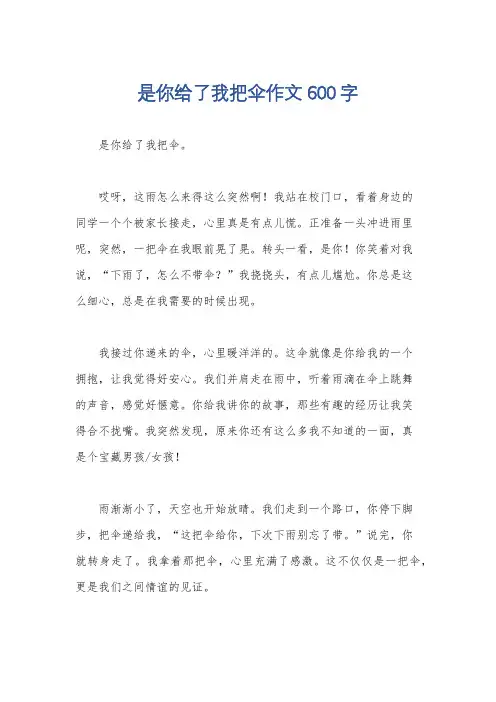 是你给了我把伞作文600字