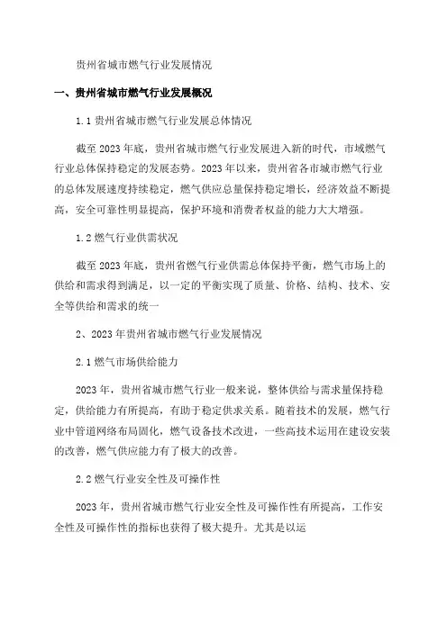 2024年贵州城市燃气行业分析报告
