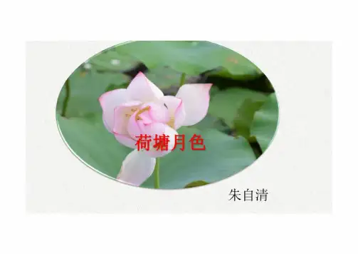 14.2《荷塘月色》课件(共25张PPT)统编版高中语文必修上册