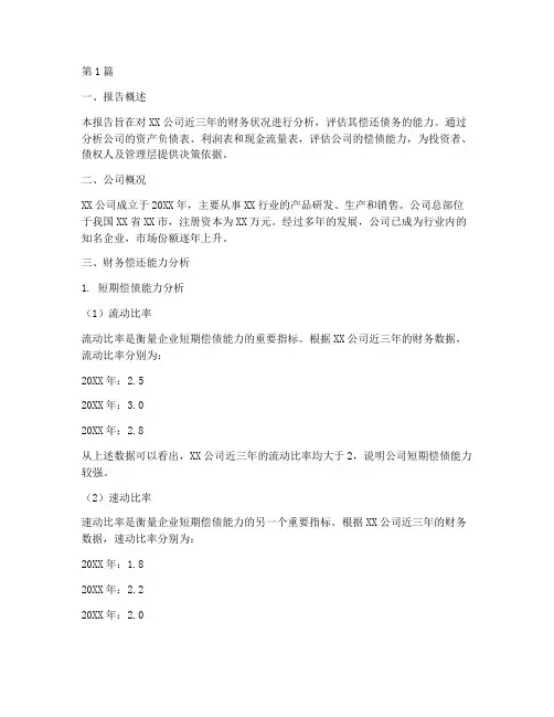 财务偿还能力分析报告(3篇)