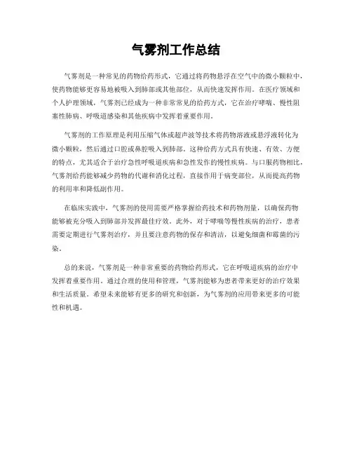 气雾剂工作总结