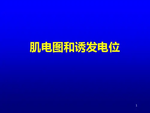 肌电图和诱发电位赵文为PPT课件