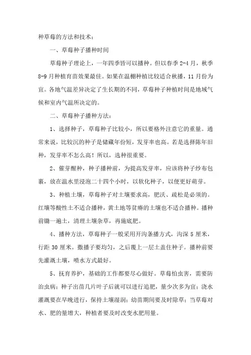 种草莓的方法和技术