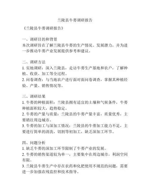兰陵县牛蒡调研报告